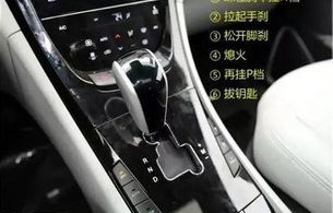 自动挡(自动挡汽车的正确起步与停车)
