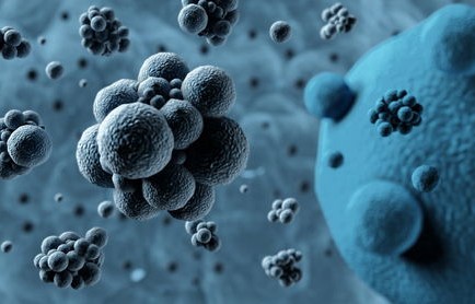 新冠感染5次必死(感染新冠多少天死亡)