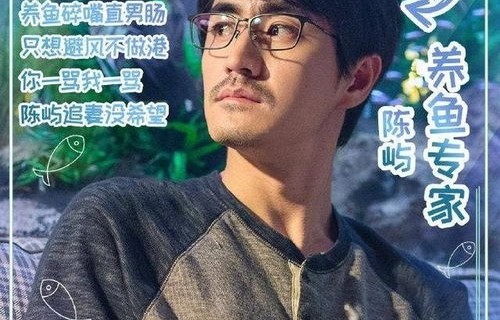 许你真心岁岁欢，一部情感交织的短剧之旅