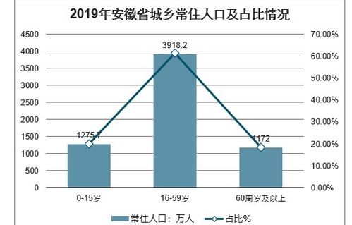 2023年各地人口出生率出炉，趋势分析与未来展望