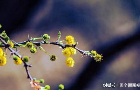 今日立春，四类人群需知躲春之道