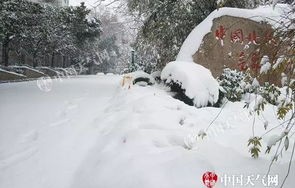 泰山积雪深度近20厘米,暴雪量级的冬日奇观