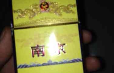 短剧九五至尊的深度解析与赏析