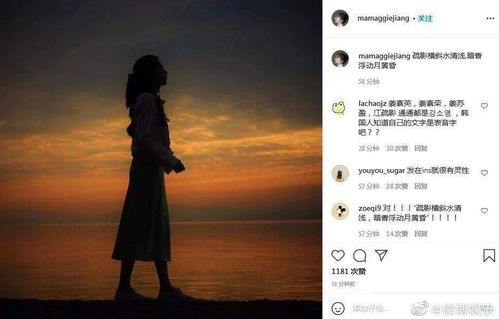 新版南风拂我意，短剧的魅力与深度解读