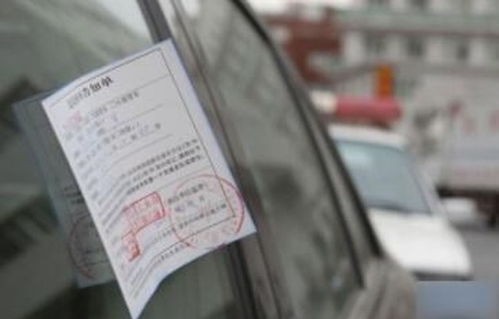 机动车违章查询12123(输入车牌号一键查违章)