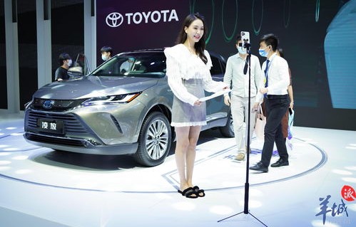 哪个网站看车比较详细(在哪个网看车比较好)