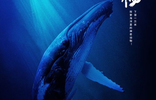 深海之谜，短剧原来深海没有光的探索与解读