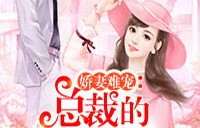 短剧新婚娇妻有点甜，甜蜜的百集之旅