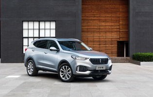 新能源汽车有哪些品牌(中国新能源汽车有哪些品牌)