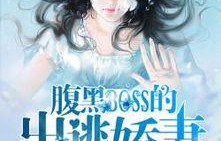 短剧替嫁娇妻,99次出逃的魅力与深度解析