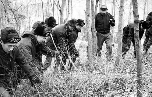 大学生意外发现，买包背后的731部队调查残件