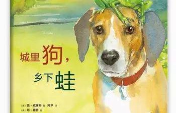 城里狗子回乡遇惊吓，鞭炮声中驾车逃