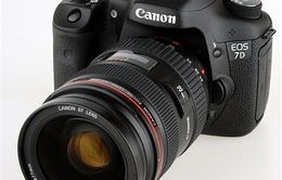 佳能单反相机哪个型号性价比高(佳能单反相机哪款好性价比高)