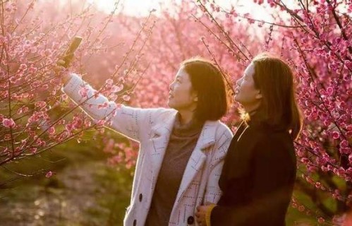 花开正艳——短剧的璀璨绽放