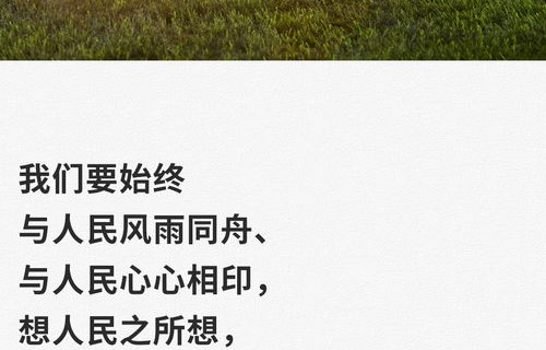 短剧失落的微光——照亮生活的60集温暖之旅