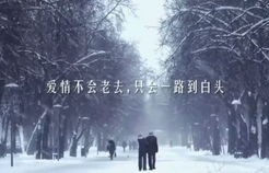 短剧彼岸有你——跨越千山万水的深情之旅