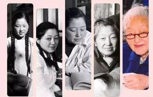 太太一身反骨，前夫跪求复合——一部81集短剧的深度解析