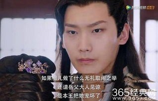 穿越剧霸道王爷的丫鬟娇妻——88集的浪漫之旅