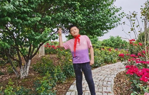 罗振宇MateX6,科技巅峰的强大之作