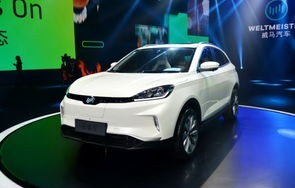 威马ex5(威马ex5车机破解)