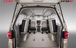 东风风行菱智7座纯电动汽车(东风风行菱智mpv七座)