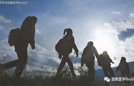 火锅界价格战，背后的原因与影响