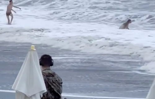 俄24岁女演员遭遇巨浪卷走悲剧，生命的脆弱与无常