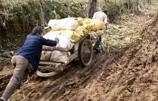 坚韧不拔的生命力，男子患病躺板车30年，靠养鹅养活自己