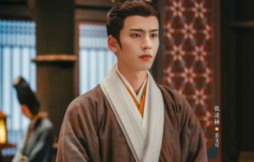 穿越时空的传奇——短剧大夏帝君