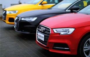 奥迪官方认证二手车官网(奥迪官方认证二手车在线)