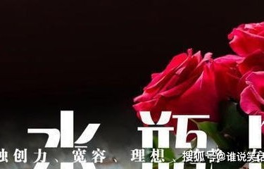 陆总，请止步，夫人已安息，短剧之百集回忆