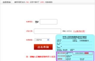 小型汽车违章怎么查询(小型汽车违章查询官网)