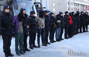 武汉高启强涉黑组织被警方成功打掉