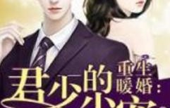 夜少的心尖宠，一部94集短剧的魅力之旅