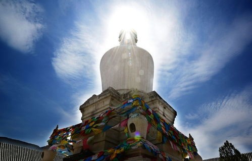 山西五台山真人版贪吃蛇大戏，一场信仰与娱乐的交织盛宴