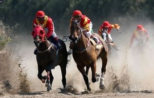 三龄童骑马奔腾，口含棒棒糖的可爱瞬间