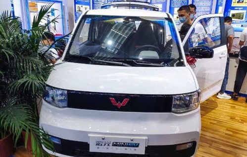 五菱mini开了半年的感受(五菱mini开了半年的感受与收获)