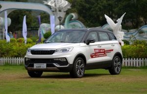 猎豹(猎豹英语)