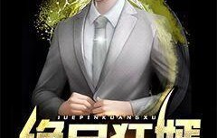 血狼狂婿，百集短剧的魅力之旅