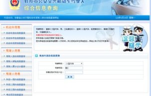 违章车辆查询官网(违章车辆查询官网电话)