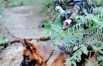 男子意外救援,误打误撞救下受伤中华鬣羚的英勇之举