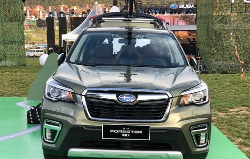 斯巴鲁森林人价格(斯巴鲁森林人价格为什么上调)