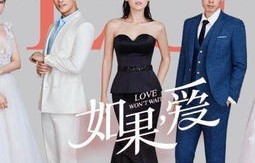 短剧离婚后，她转身嫁给了千亿总裁（全剧共104集）