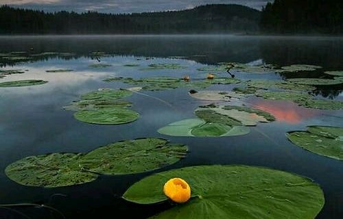 短剧云深见溪——85集的深度与魅力