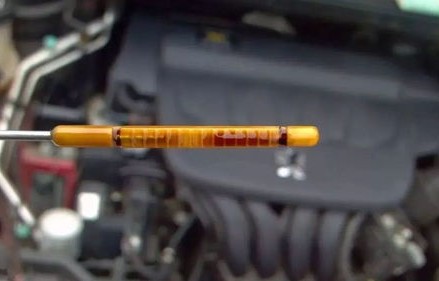 2年不换机油一点事都没(2年不换机油一点事都没有)