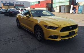 野马官网(野马官网客服电话)