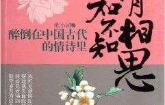 短剧之入骨相思，她不知的98集故事