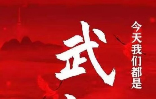 驰援西藏，众志成城——共赴使命之旅