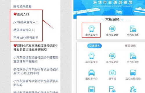 深圳小汽车摇号官网(深圳小汽车摇号官网查询系统)