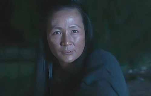 短剧陆家夫人是女侠——百集传奇